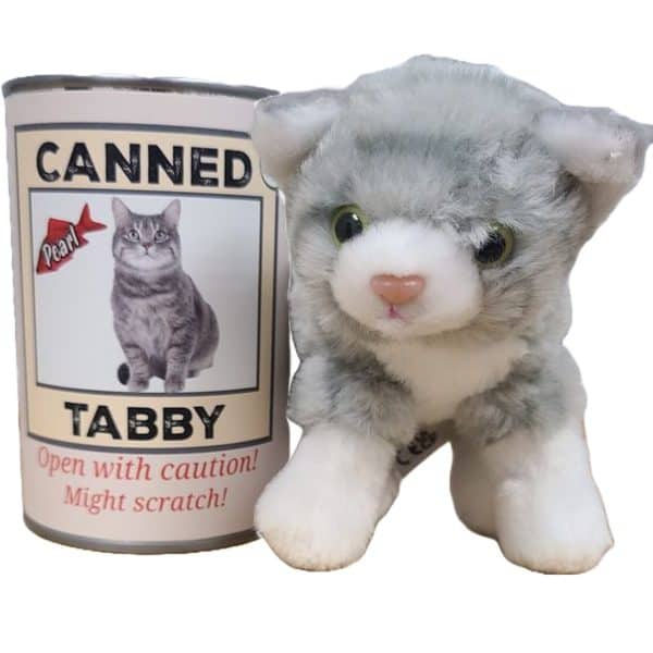 Canned Tabby Cat