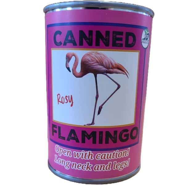 Canned Flamingo - Image 5