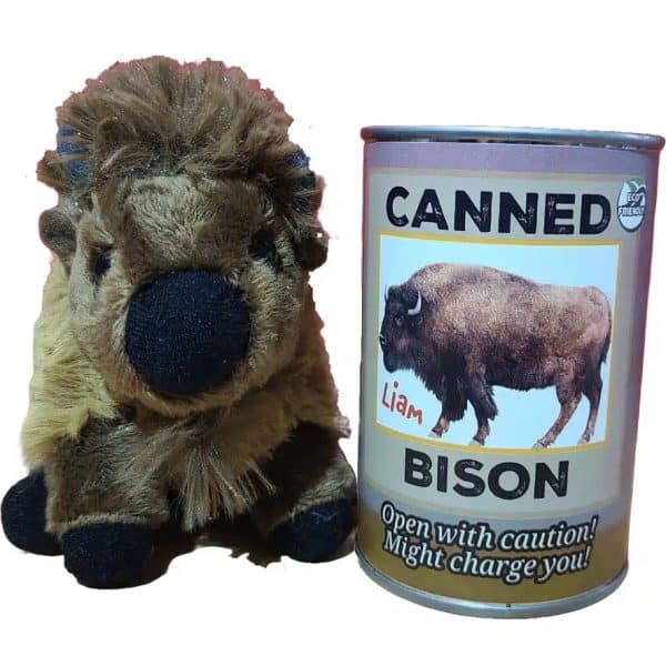 Canned Bison