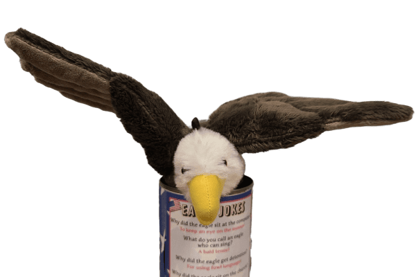 Canned Bald Eagle - Image 5