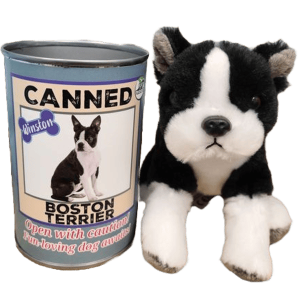 Canned Boston Terrier