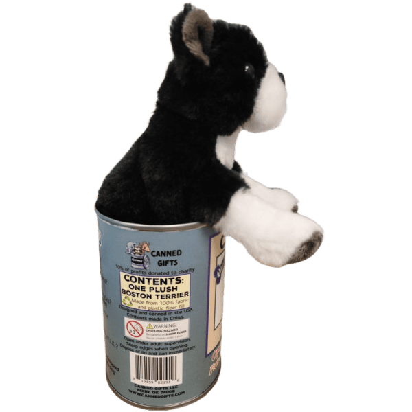 Canned Boston Terrier - Image 3