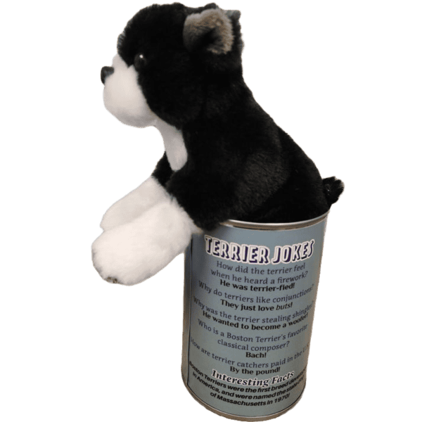 Canned Boston Terrier - Image 2