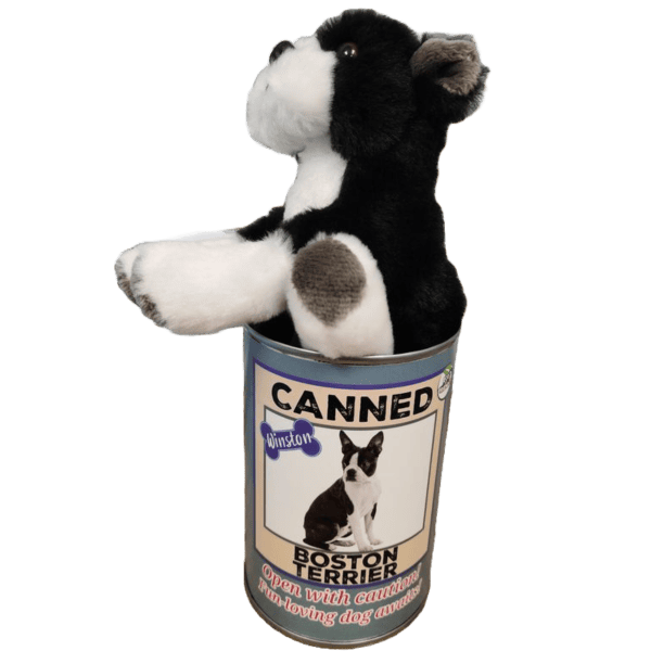 Canned Boston Terrier - Image 4