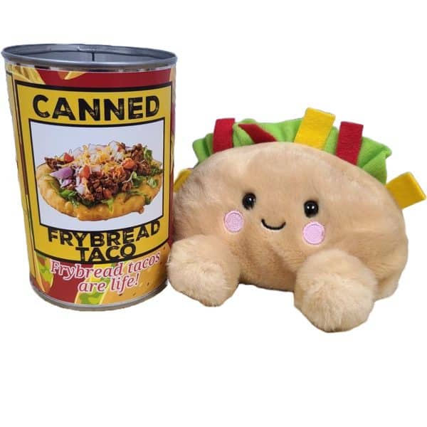 Canned Frybread Taco