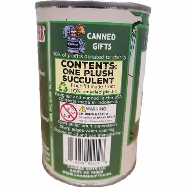 Canned Succulent - Image 4