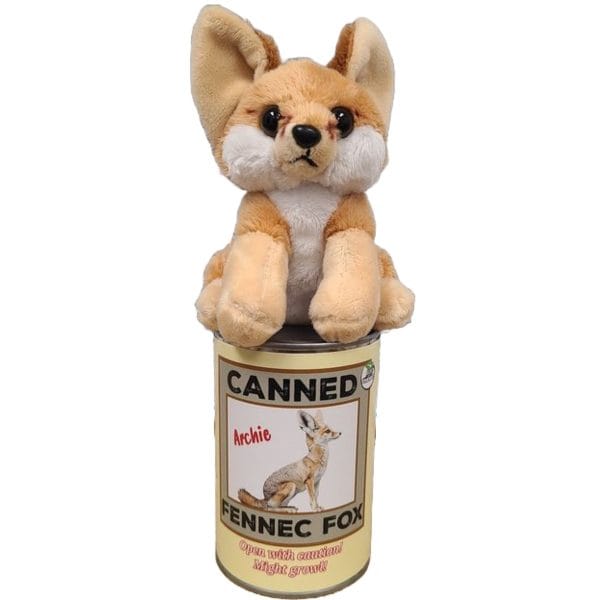 Canned Fennec Fox - Image 4