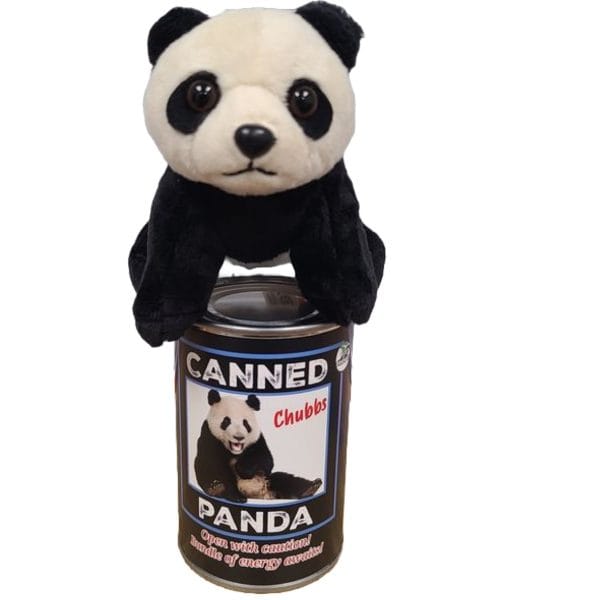 Canned Panda - Image 4