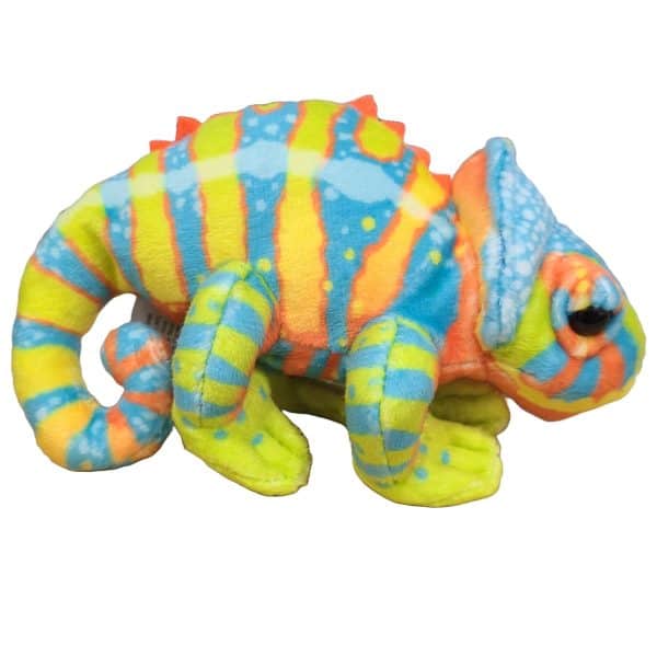 Canned Chameleon - Image 5