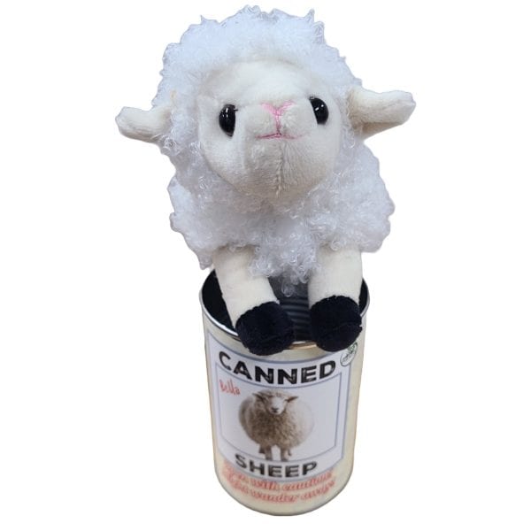 Canned Sheep - Image 6